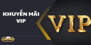 Khuyến Mãi VIP Sao789 - Ưu Đãi Dành Tặng Hội Viên Đẳng Cấp