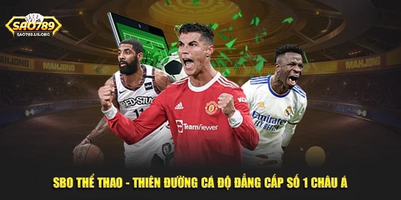 SBO Thể Thao Sao789 – Không Gian Cá Cược Đẳng Cấp Hàng Đầu
